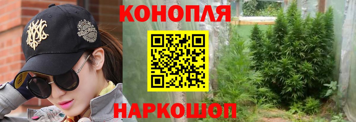 Шишки марихуана семена Королёв